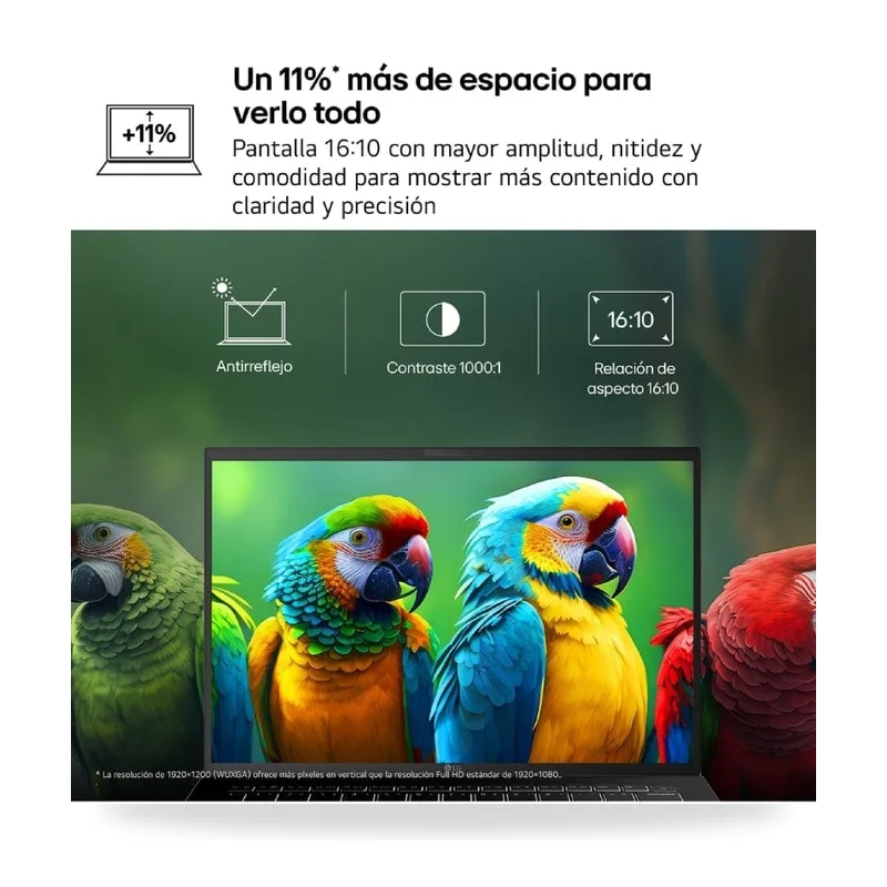 Vista 4