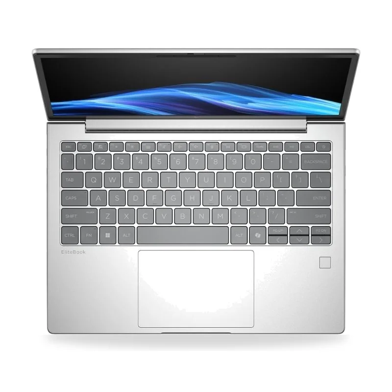 Vista 4
