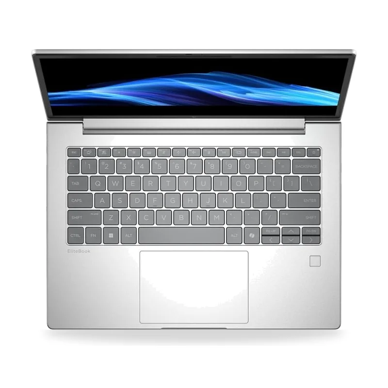 Vista 4
