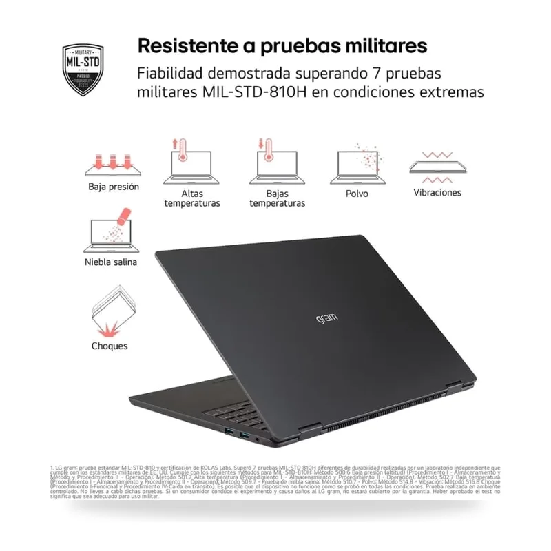 Vista 5